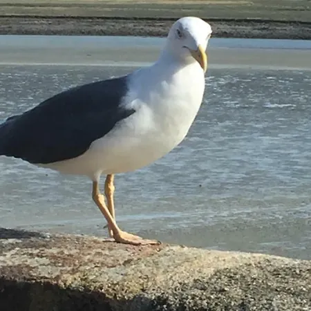 La De La Baie Saint-Pair-sur-Mer